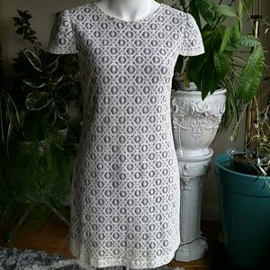 Suzi Chin lace dress size 2